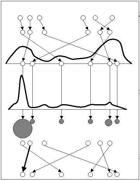 N-IPS algorithm