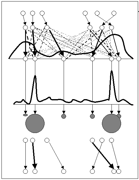 LS-N-IPS algorithm