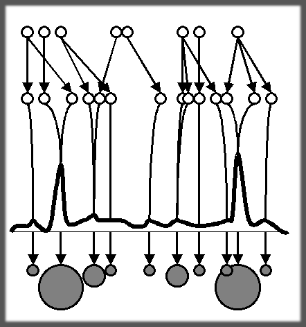 LS-N-IPS algorithm