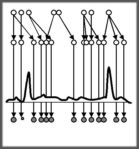 N-IPS algorithm